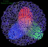ARABIC5